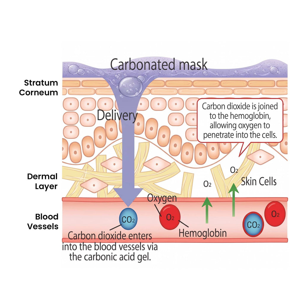 Dr. MEDION Spaoxy Mask (3 Sheets)